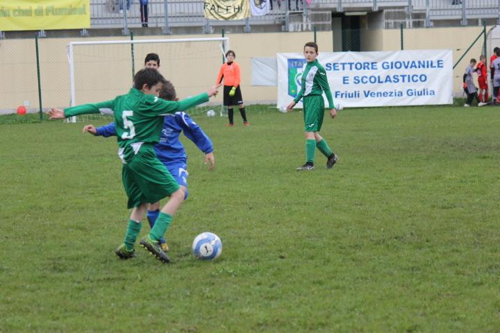 Torneo Pulcini#tifiamoeuropa - festa regionale