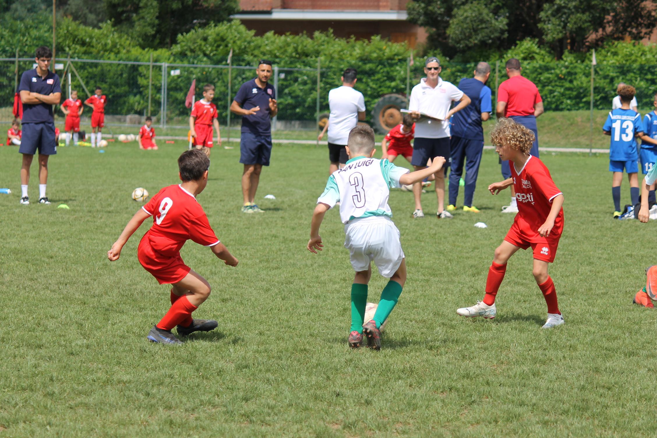 Festa Regionale Pulcini 2024
