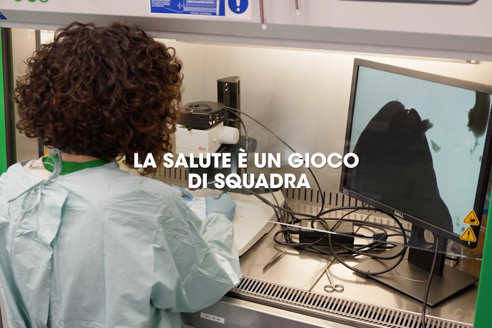 Salute, benessere e sport al centro delle azioni della FIGC: tutte le iniziative promosse dalla Federazione sul tema della prevenzione