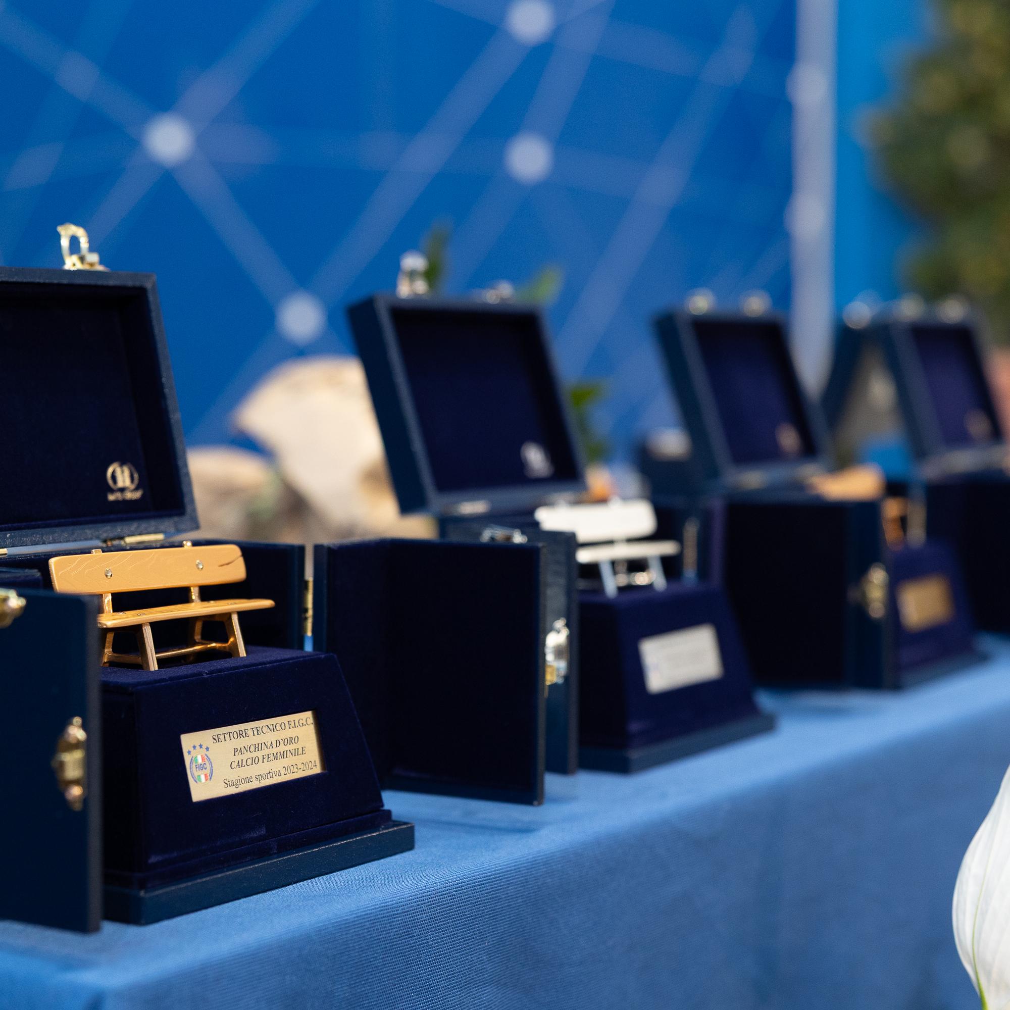 <p>Panchina d'oro, l'evento che celebra un'eccellenza del calcio italiano: gli allenatori</p>