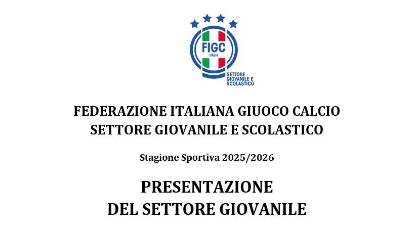 Richiesta di riconoscimento – dichiarazione di impegno, modulo di presentazione della società e modulo on line di censimento del settore giovanile