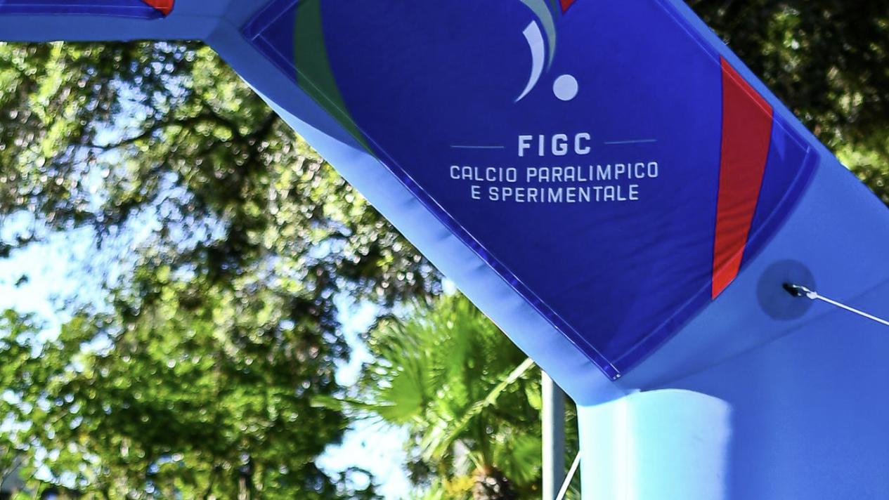 Il Consiglio Direttivo evidenzia l'ulteriore grande crescita del numero di regioni, squadre e tesserati