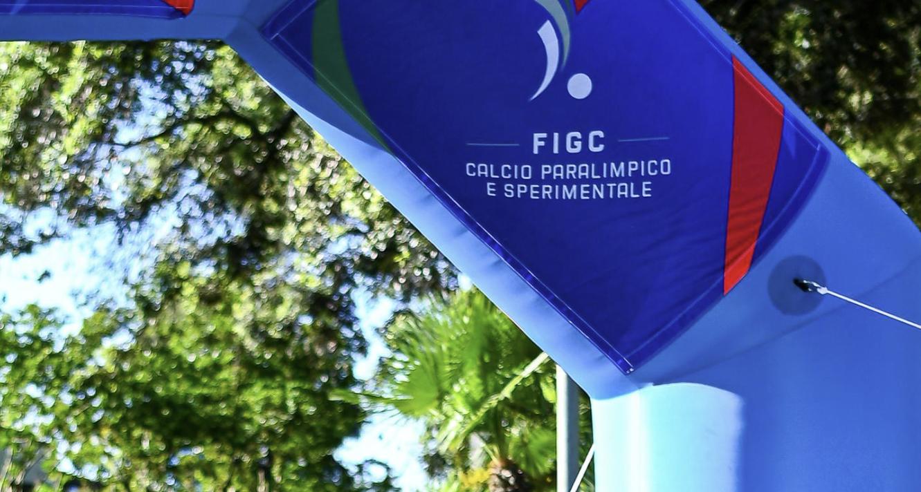 Il Consiglio Direttivo evidenzia l'ulteriore grande crescita del numero di regioni, squadre e tesserati