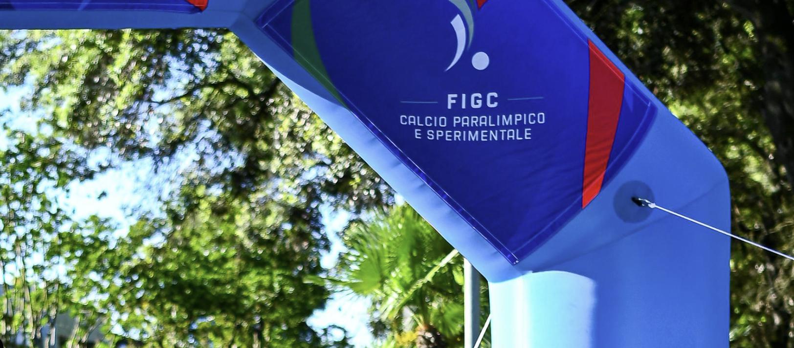 Il Consiglio Direttivo evidenzia l'ulteriore grande crescita del numero di regioni, squadre e tesserati