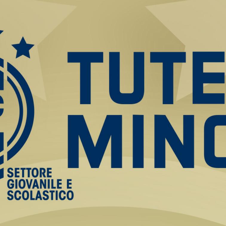 Programma Tutela e Benessere di Minori – Riunione Online