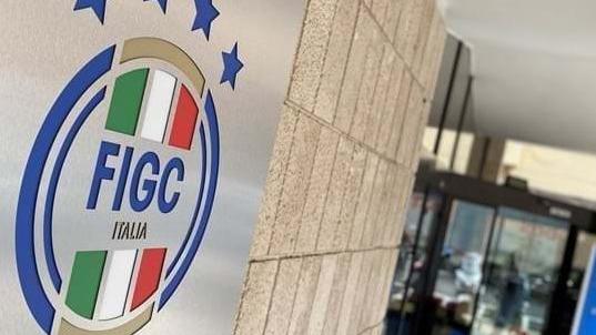 Violazioni amministrative: cinque punti di penalizzazione per la Ternana