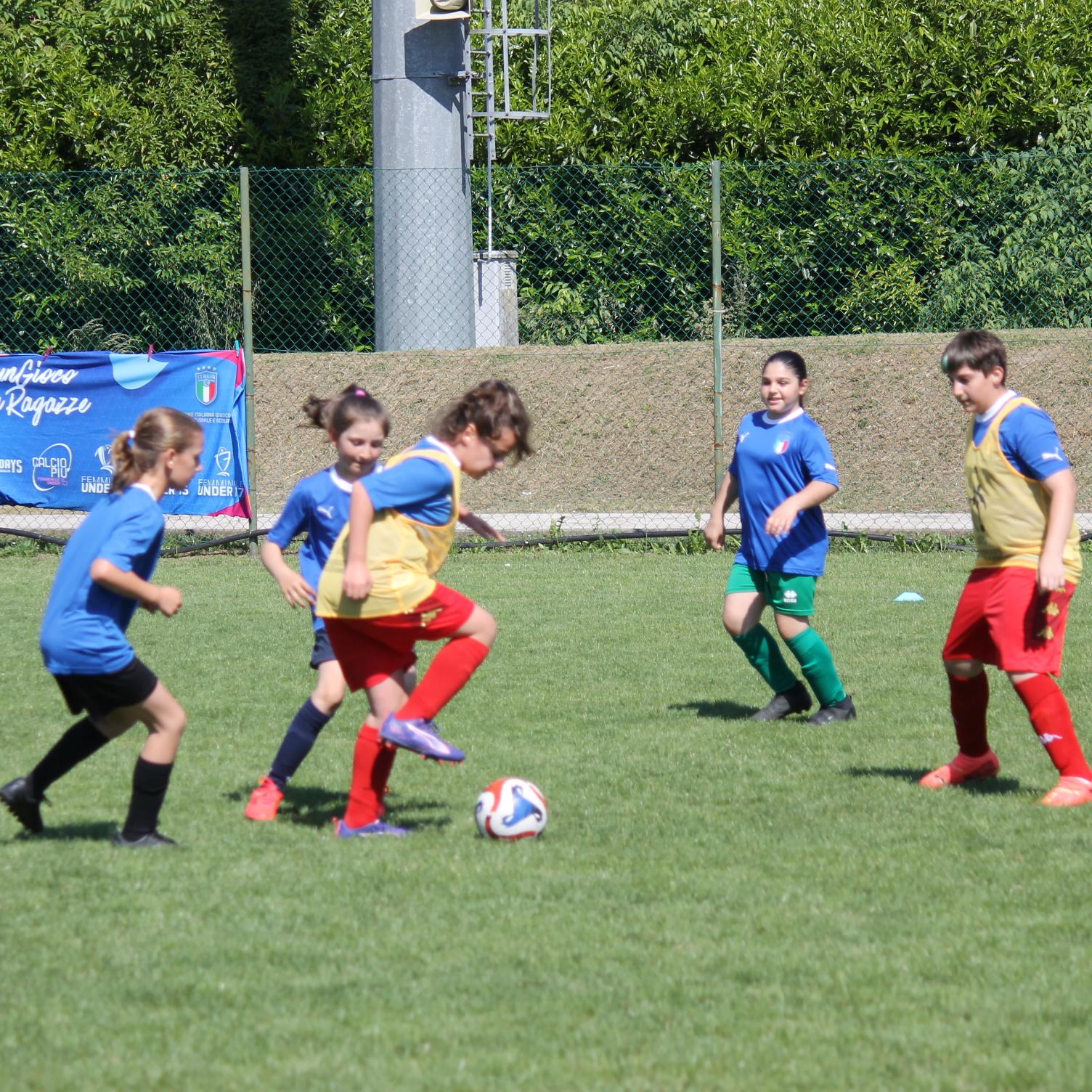 Risultato delle gare nell’attività di base
