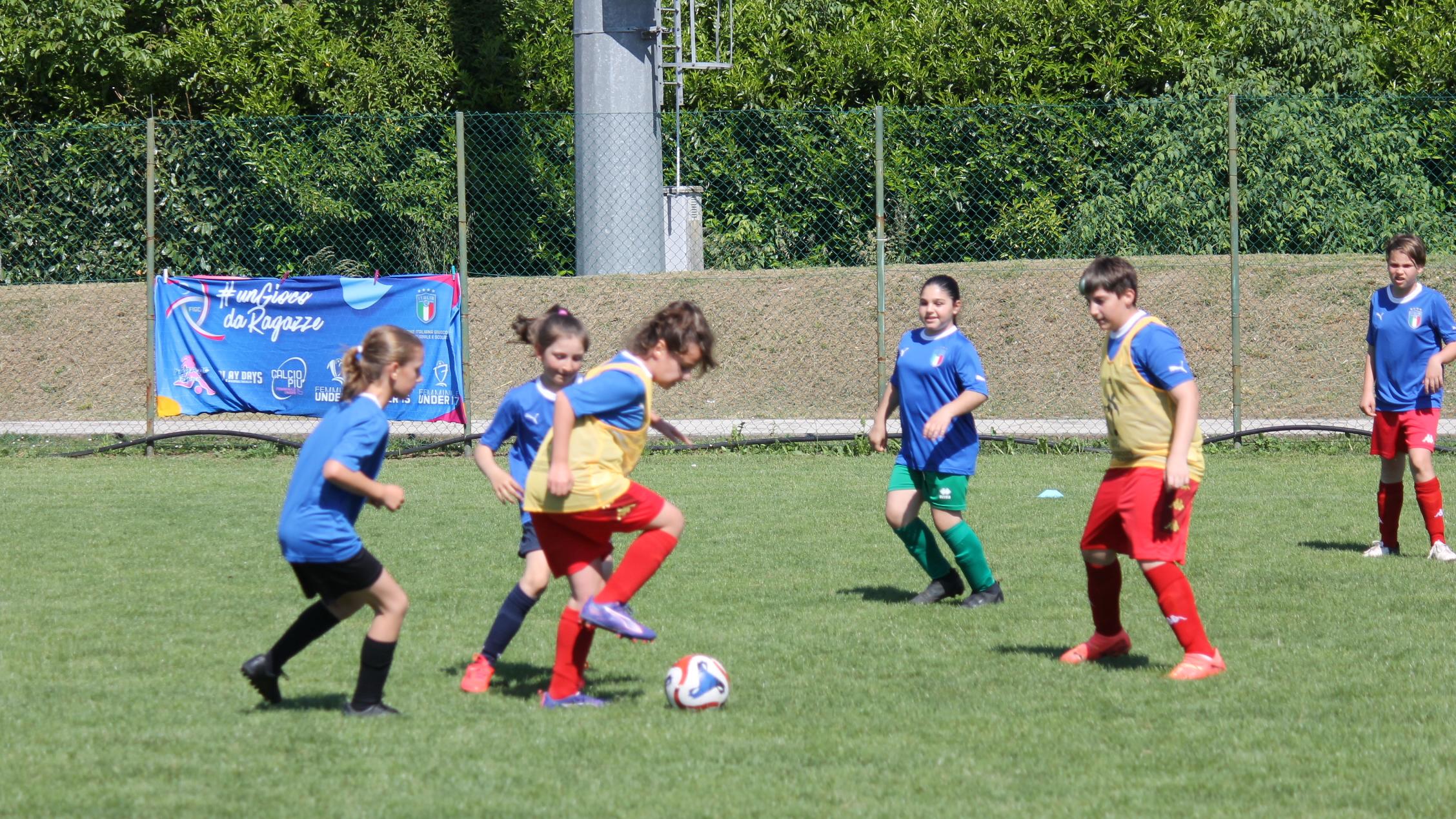 Risultato delle gare nell’attività di base