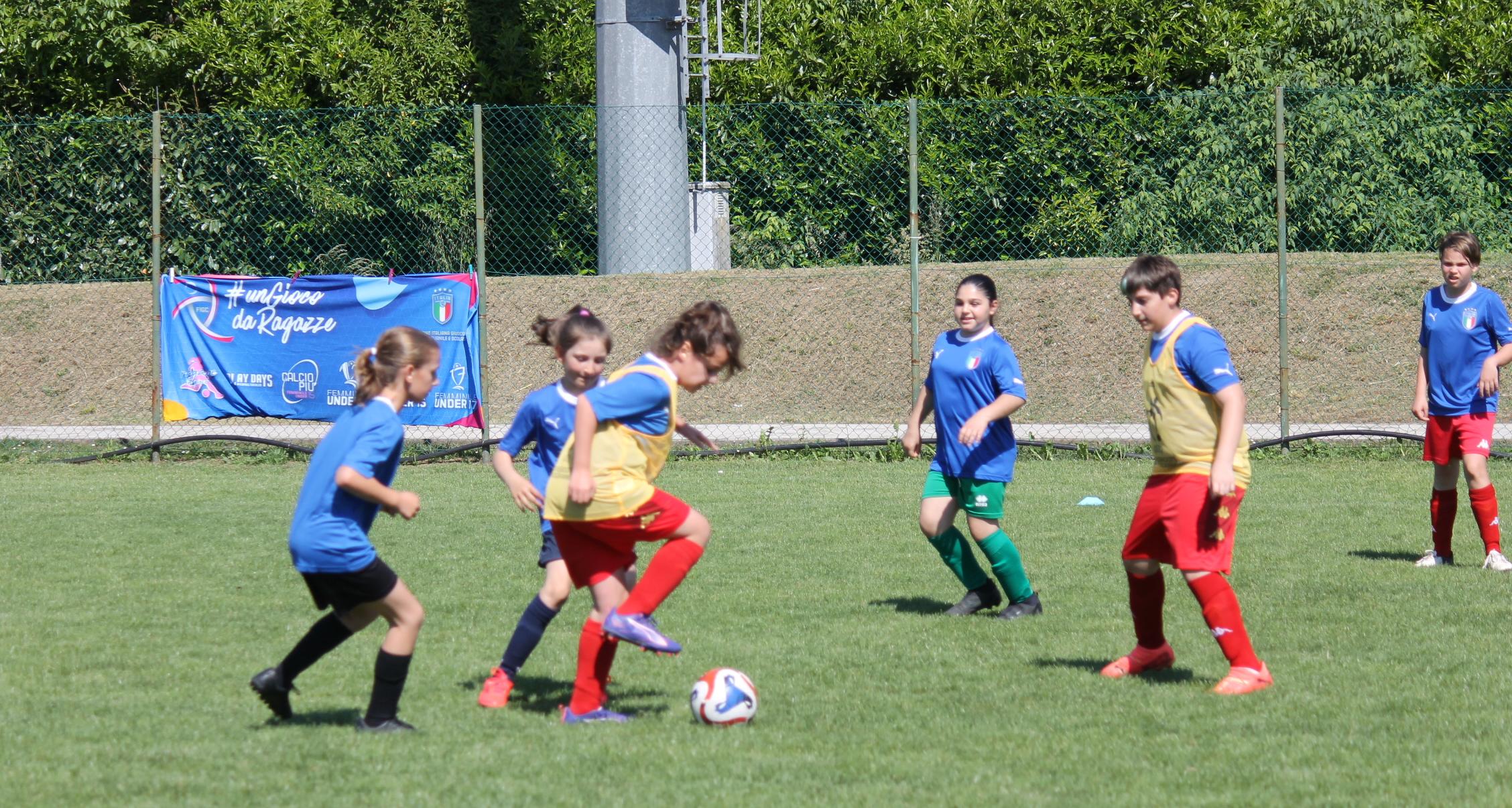 Risultato delle gare nell’attività di base