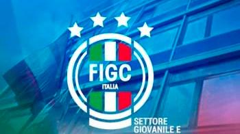 Disciplina dell’utilizzo del logo federale