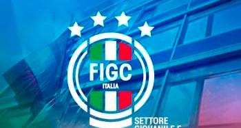 Disciplina dell’utilizzo del logo federale