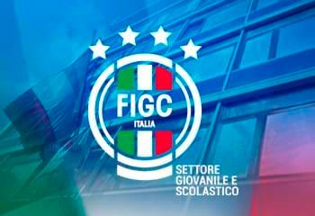 Disciplina dell’utilizzo del logo federale