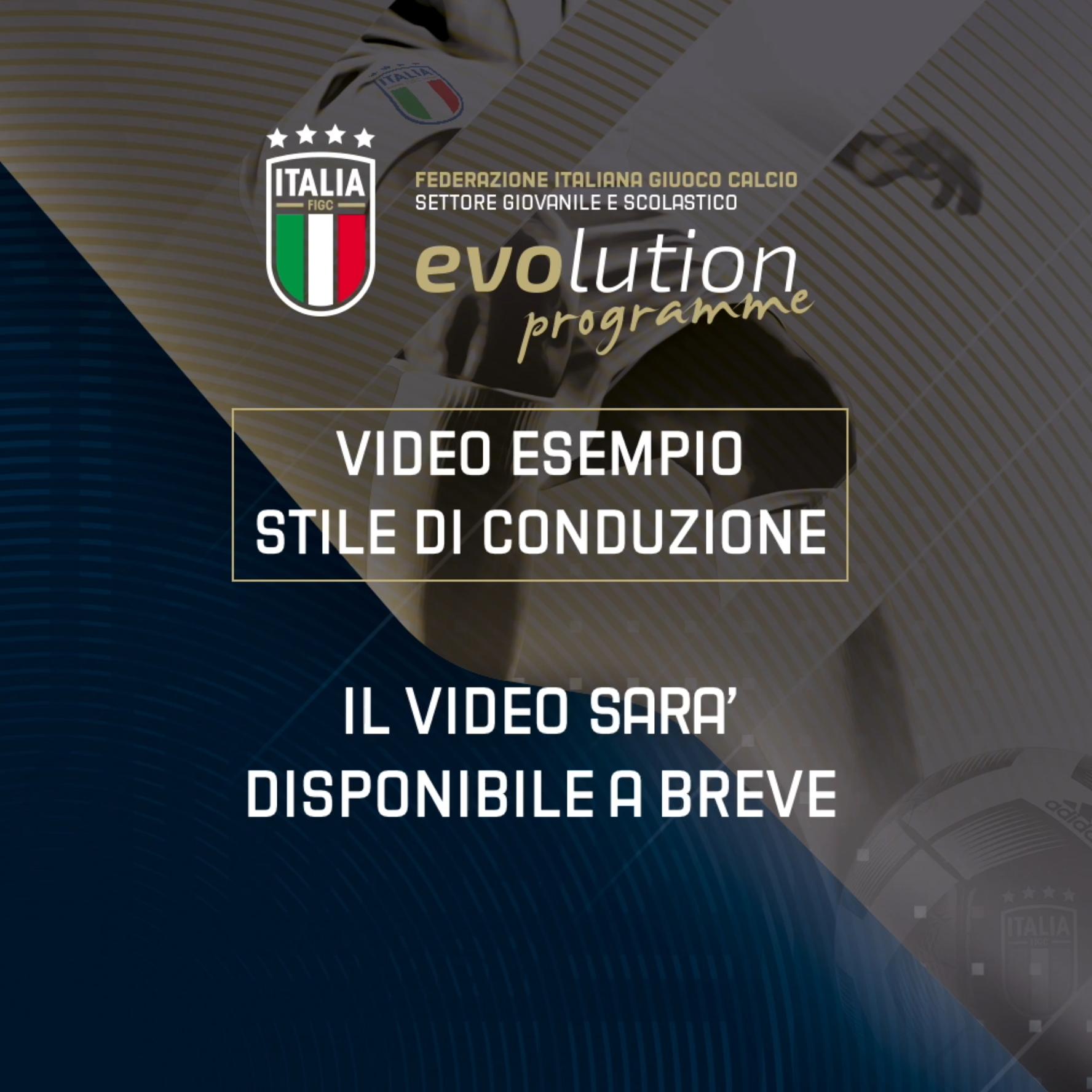 Video Esempio Stile di Conduzione