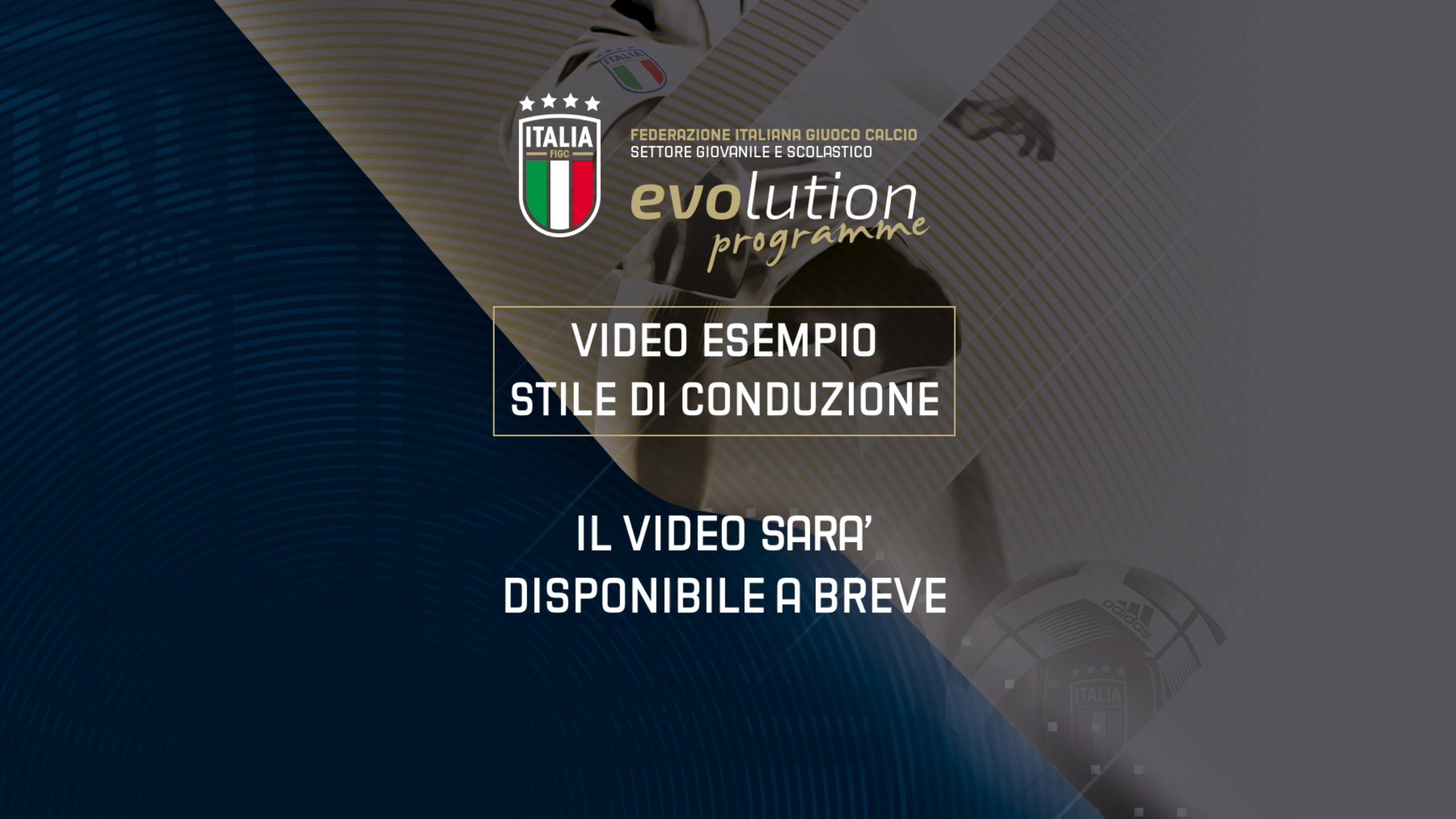 Video Esempio Stile di Conduzione