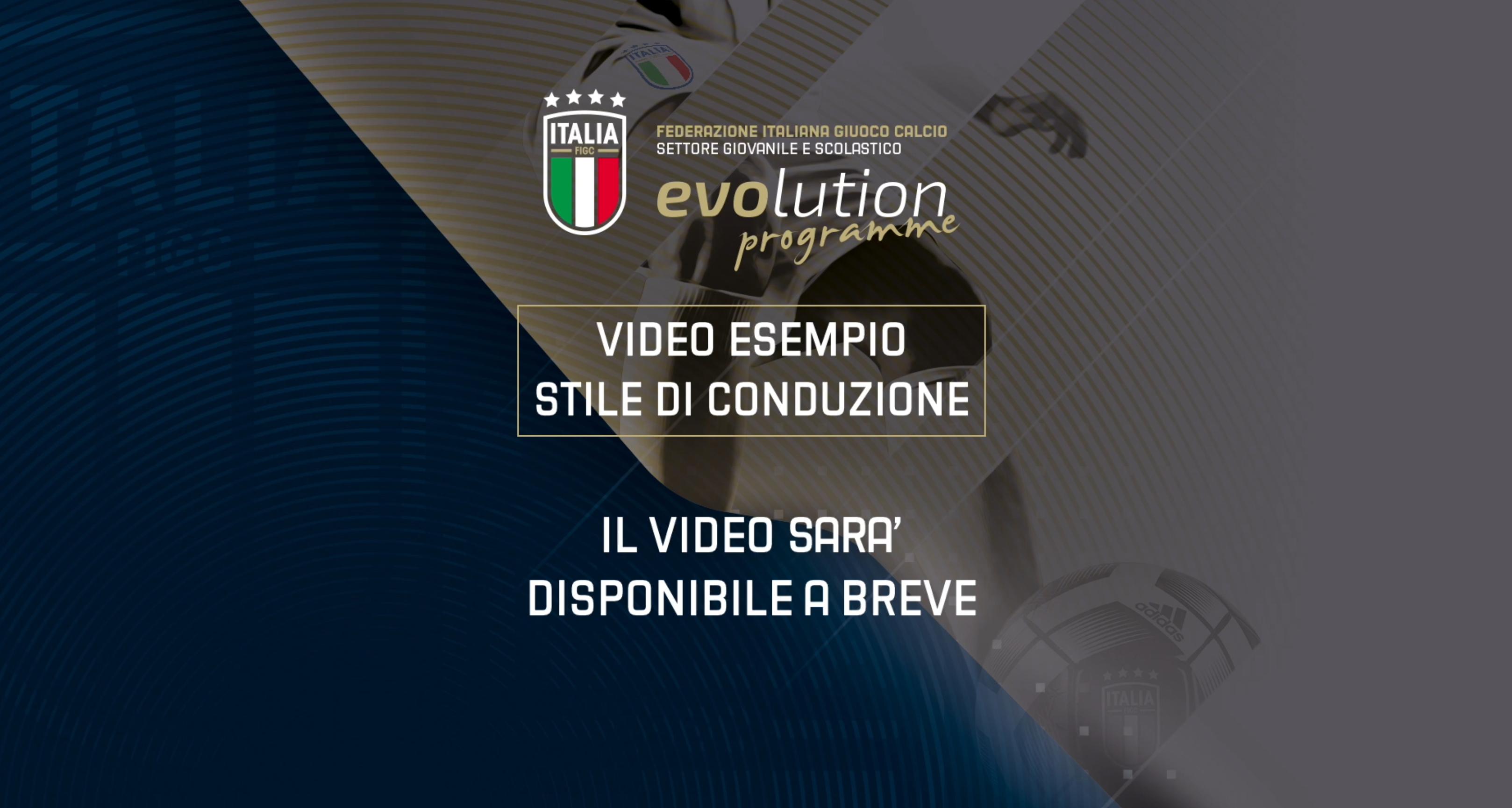 Video Esempio Stile di Conduzione