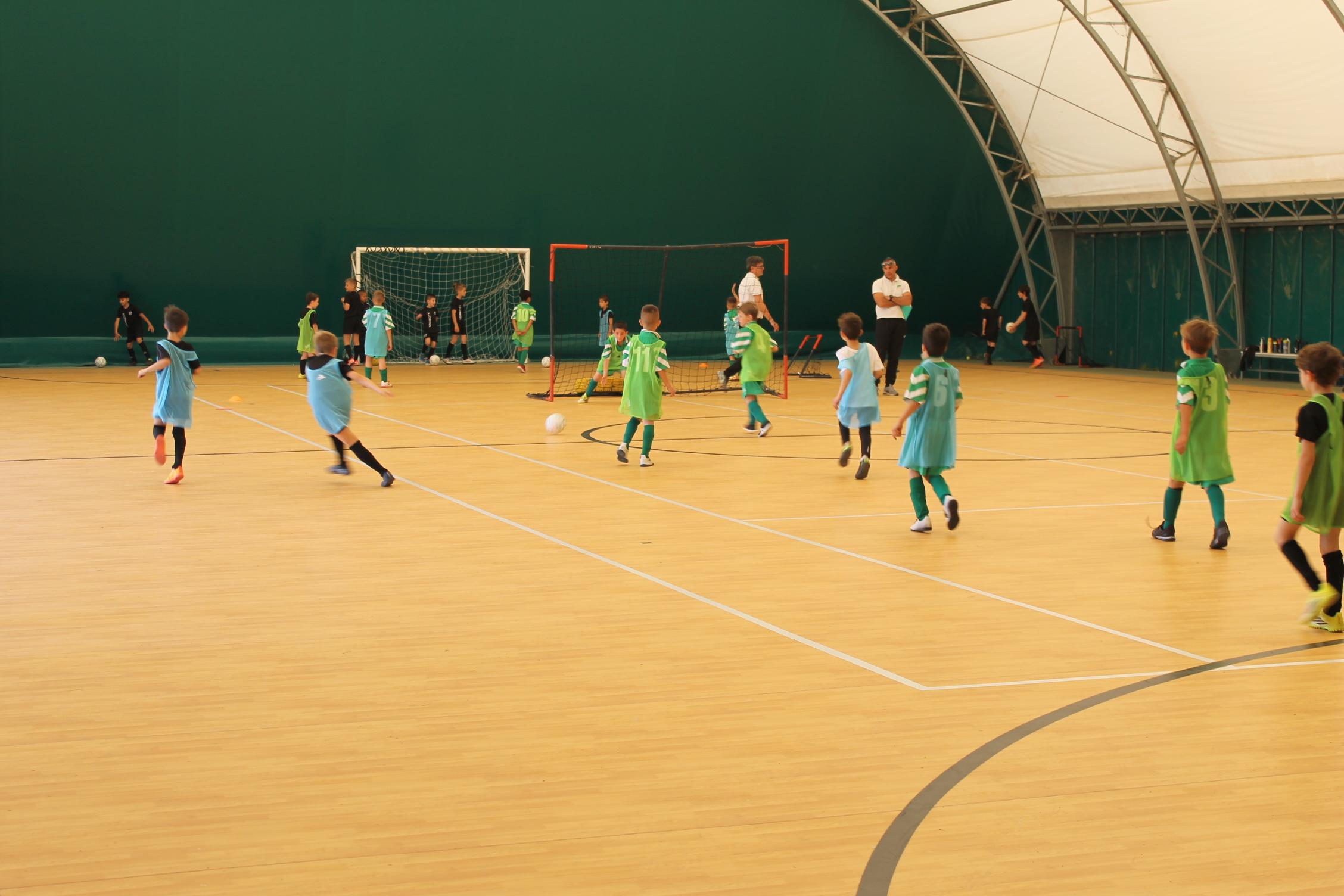 Il Futuro in un rimbalzo controllato: successo per il Futsal Day in Friuli Venezia Giulia