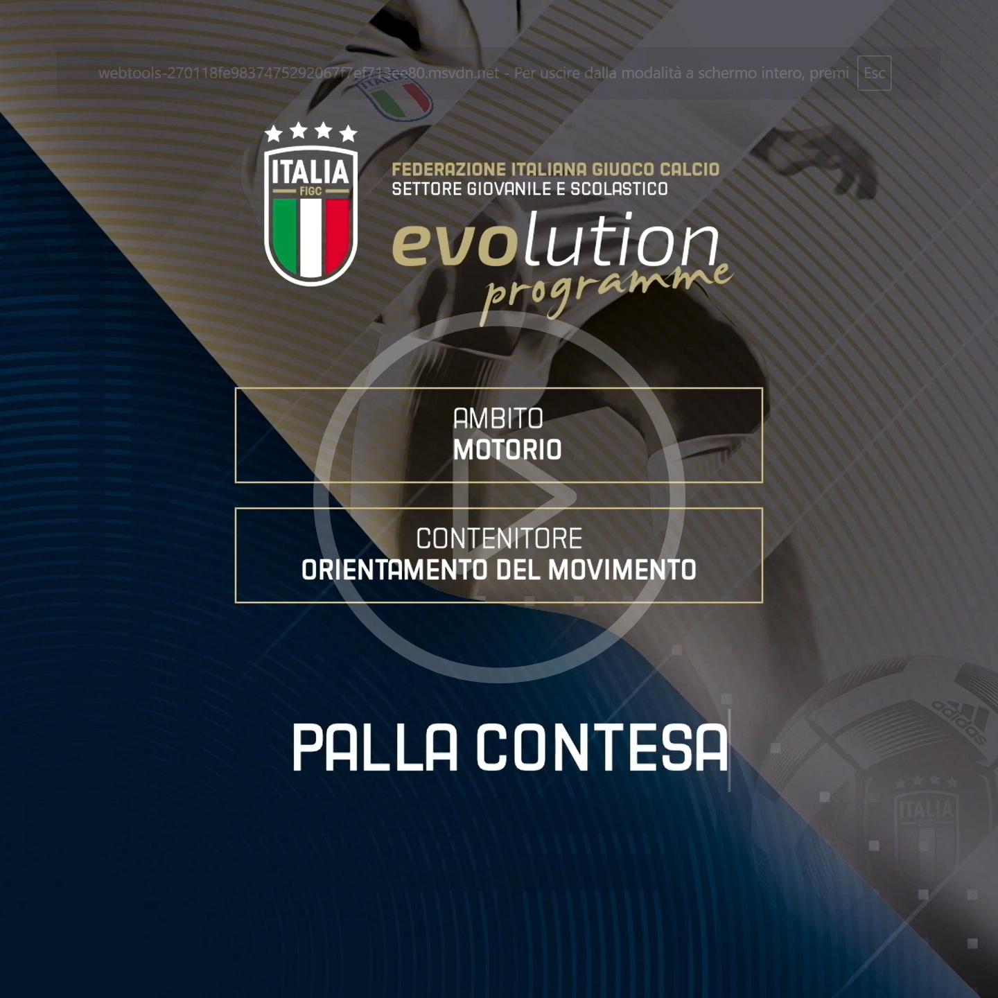 Palla contesa modello allenamento Subt