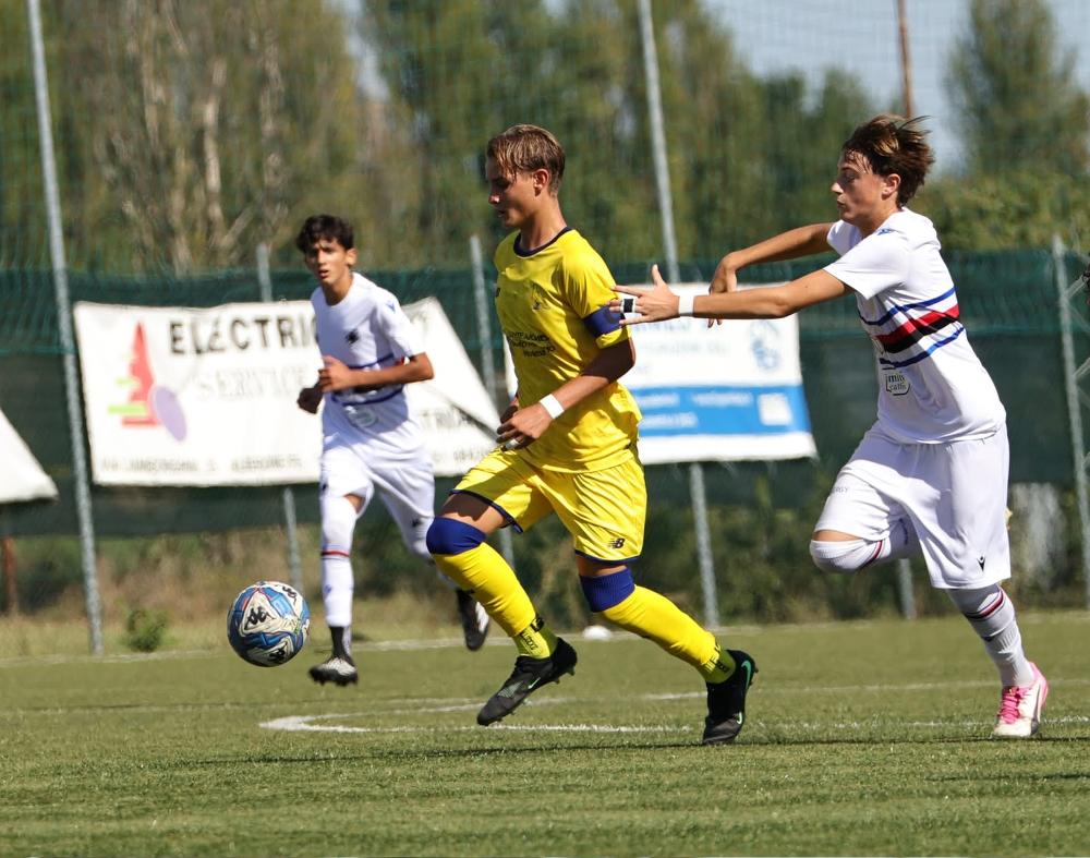 Leonardo Cisotto